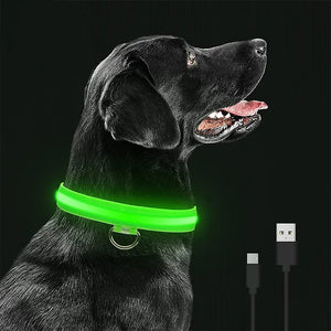 Coleira Pet com Led